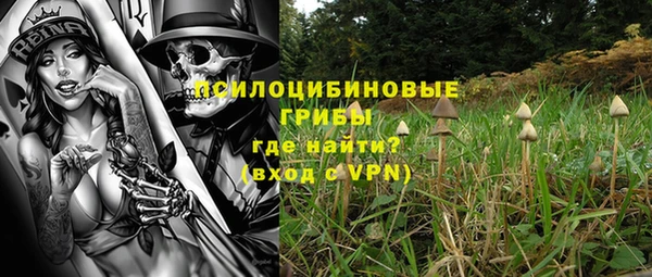 прущая мука Няндома